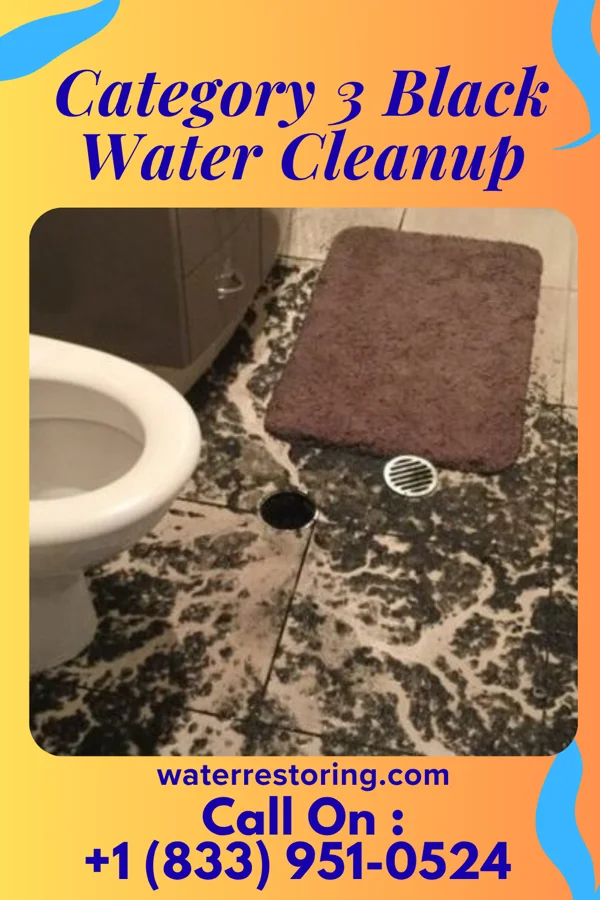Category 3 Black Water Cleanup in Fairview Shores, FL