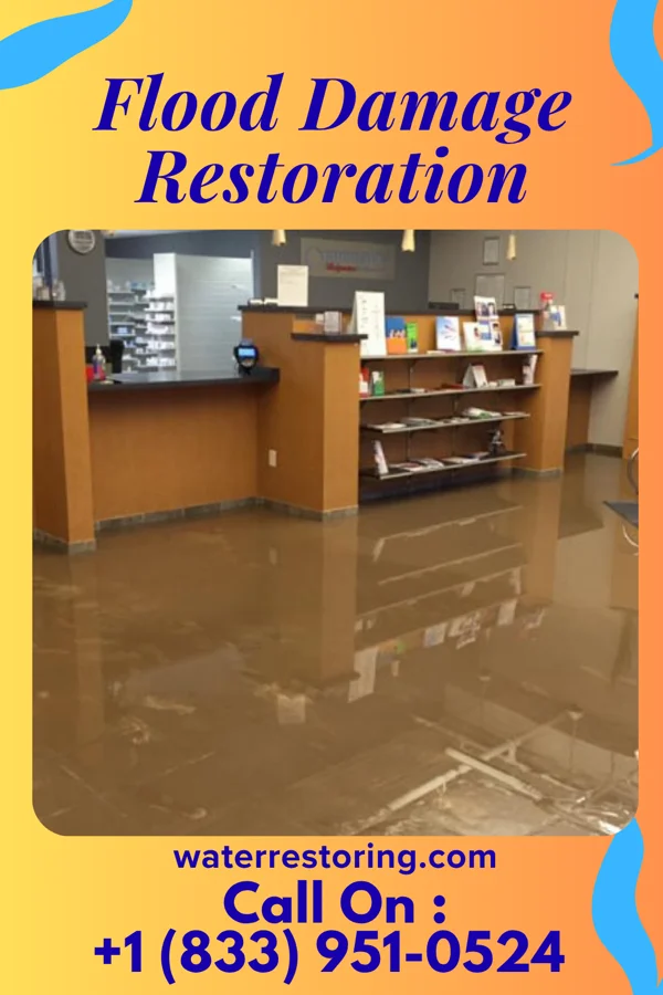 Flood Damage Restoration in Fairview Shores, FL